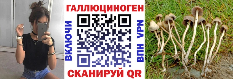 Галлюциногенные грибы мухоморы Новый Оскол