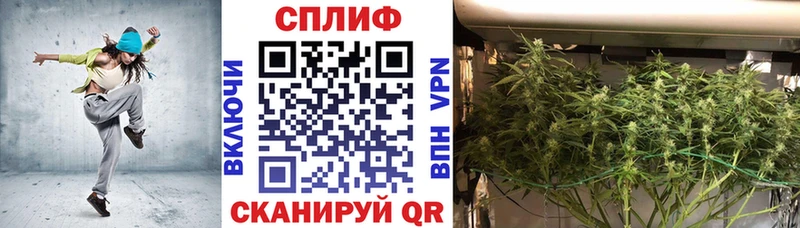 Канабис гибрид мориарти наркотические препараты Новый Оскол